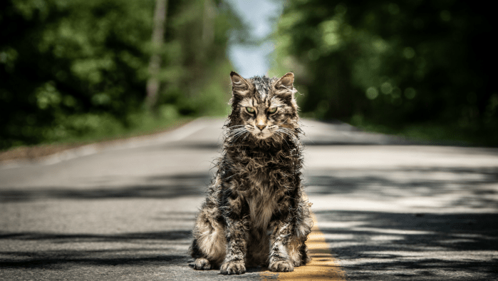 Pet-Sematary-2.png